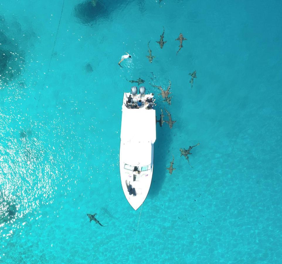 Ecoboo Maldives Hotel Thinadhoo  Buitenkant foto